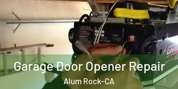  Garage Door Opener Repair Alum Rock-CA